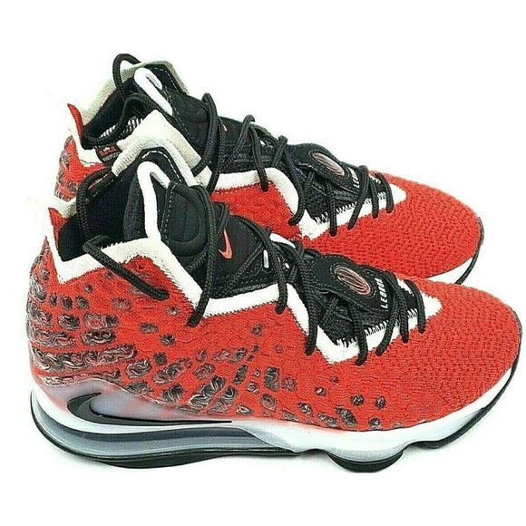 Nike Lebron 17 \